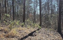 30 & 48 Dogwood, Martin, GA 30557
