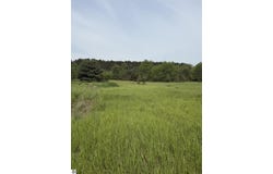 Pearl Street, Thompsonville, MI 49683