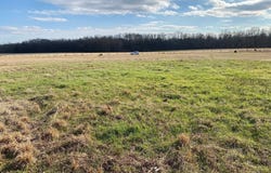 CRAVENS Rd lot: 47, Savannah, TN 38372