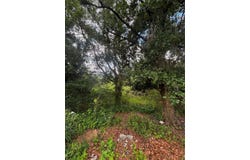 LEE Street, BOWLING GREEN, FL 33834
