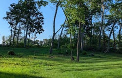 430 Viola Court lot: 14, Baraboo, WI 53913
