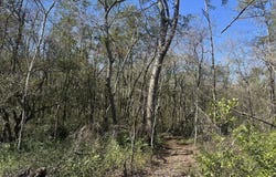004 Mt Sinai church Rd., Butler, GA 31006