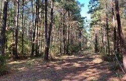 0 BIG LAKE Road, Pineville, LA 71360