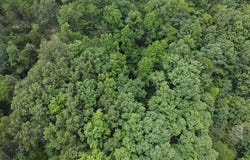 0 highway 1760, Louisa, KY 41230