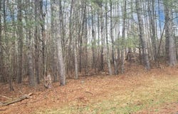 Deer Valley Rd., Jewett, NY 12444