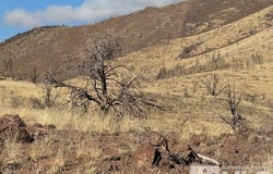 Hwy 395 (6) lot: 6, Gardnerville, NV 89410