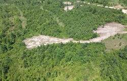Tract 4 Tucker Rd, Bath Springs, TN 38311