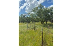 Oak Ct St, Fredonia, TX 76842