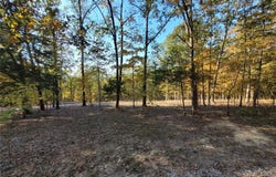 161 Steeple Point Drive, Defiance, MO 63341