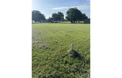 0 LBJ Ranch Road, Trinidad, TX 75163