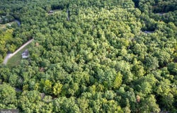 Lot D3, Holiday Hill Road HOLIDAY HILL RD., LURAY, VA 22835
