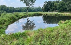 00 Elk Head Road, Bland, MO 65014
