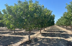28000 W. Jayne Ave, Coalinga, CA 93210