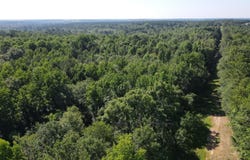 0 Eley Road, Gibson, GA 30810