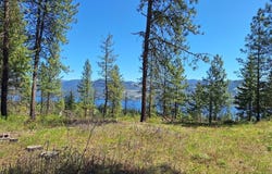 TBD INCHELIUM HWY, KETTLE FALLS, WA 99141