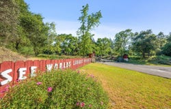 4100 Petrified Forest Road, Calistoga, CA 94515