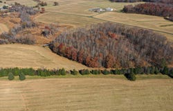 Moores Mill Road, Rougemont, NC 27572