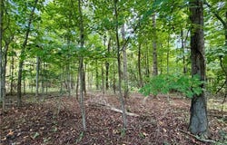 Antigua Drive, Moravian Falls, NC 28654