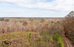0 Steele Rd, Jasper, AL 35503
