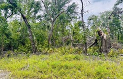 LOT74 NW 22ND AVENUE, Jasper, FL 32052
