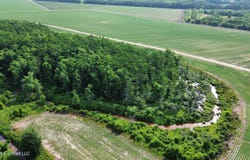 County Road 430, Sidon, MS 38954