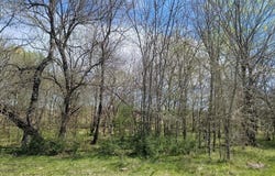 Tbd Farm to Market Road 114, Clarksville, TX 75426