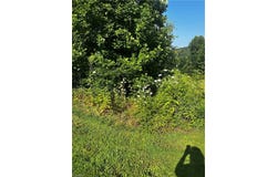 Tbd W High Acres Drive, Purlear, NC 28665