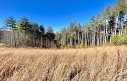 1.85 acres Lot 154 Rocky Falls Lane unit: 154, Lenoir, NC 28645