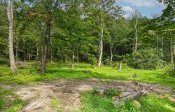 Florence Ln, Andover Twp., NJ 07860