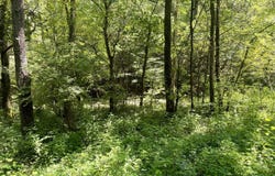 8000 Taft HWY, Dry Ridge, KY 41035