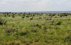 Martinez Pintada Ranch, Santa Rosa, NM 88435