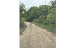 Lot 755 Bali Hai LN, Bastrop, TX 78602