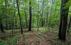 Bell Hill Road, Lindley, NY 14858