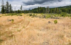 40111 SE Fairview St, Outside City Limits, OR 97360