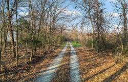 171 Togi Hill Road, Noel, MO 64854