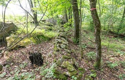 Stanley Campbell Road, Delhi, NY 13753