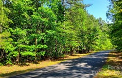 23/24 Loblolly Lane unit: 23/24, Mill Spring, NC 28756