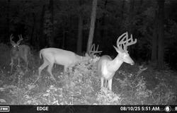 Hwy MM, Eldon, MO 65026