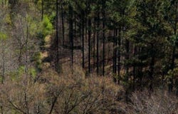Attala Rd 4213, Sallis, MS 39160