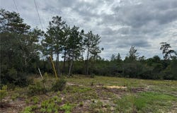 NE 135TH ST, SALT SPRINGS, FL 32134