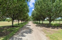 201 Vinyard Drive, Waxahachie, TX 75167