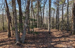 8636 Sleepy Hollow Road unit: 12, Connelly Springs, NC 28612