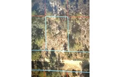 NE 50TH Place, WILLISTON, FL 32696