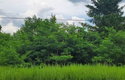 00 Herman Road, Camillus, NY 13031