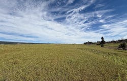 Good Pasture Dr lot: 14, Beulah, CO 81023