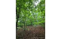Tbd Via Bello Vista Road, Sunrise Beach, MO 65079