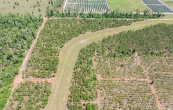 Live Oak, FL 32060