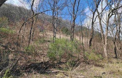 000 Red Oak Road, Harpers Ferry, IA 52146