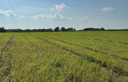 0 S State Road 101, Liberty, IN 47353