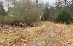 1147 Stratford Road, Lynchburg, VA 24502